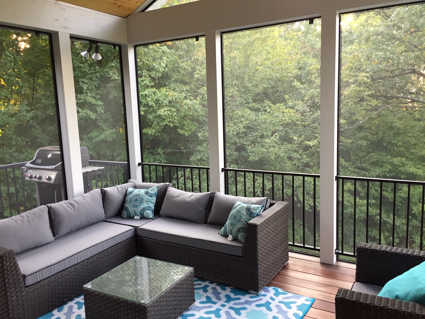 Screened porch interior with comfortable seating and views of mature Minnesota trees